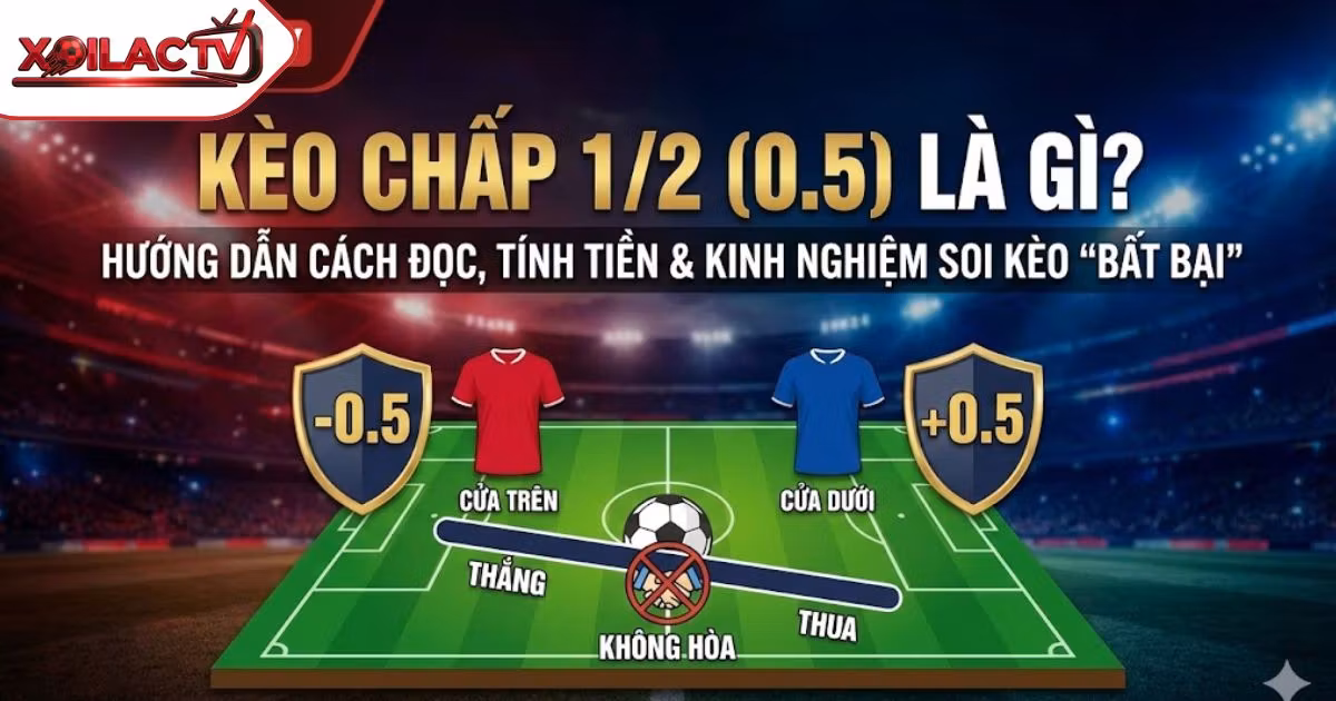 Kèo Chấp 1/2 Là Gì? Hướng Dẫn Cách Đọc, Tính Tiền & Kinh Nghiệm Soi Kèo 0.5 “Bất Bại”