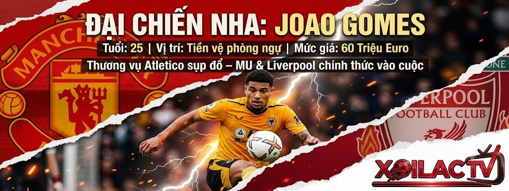 Tiền vệ Joao Gomes trở thành mục tiêu tranh giành của Manchester United và Liverpool - Cập nhật tin chuyển nhượng bóng đá mới nhất tại Xoilac TV.